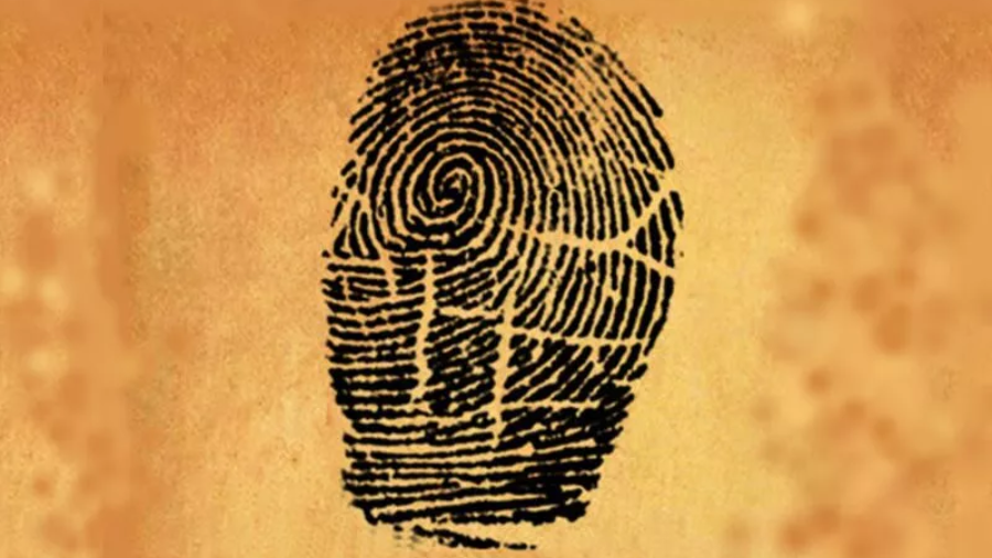 benefits of online nadi