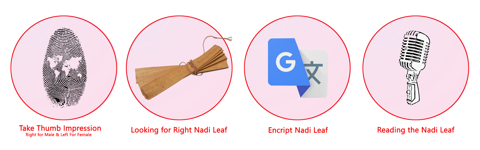 Homepage process png